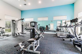 A spacious gym with a variety of equipment including treadmills, weight machines, and free weights.